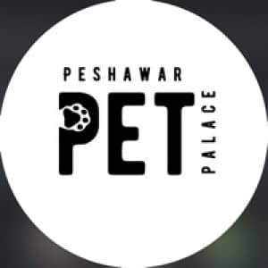 Peshawar