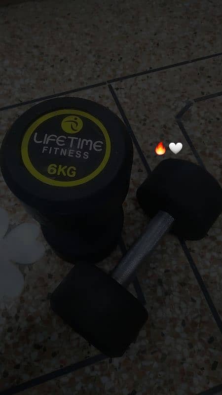 6KG Dumbells Pair 1