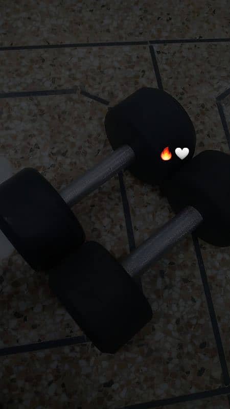 6KG Dumbells Pair 2