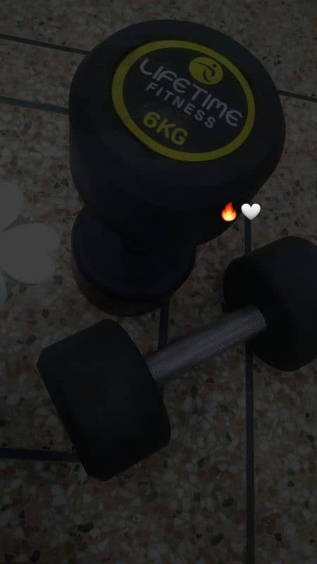 6KG Dumbells Pair 3