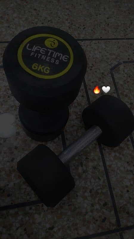 6KG Dumbells Pair 4