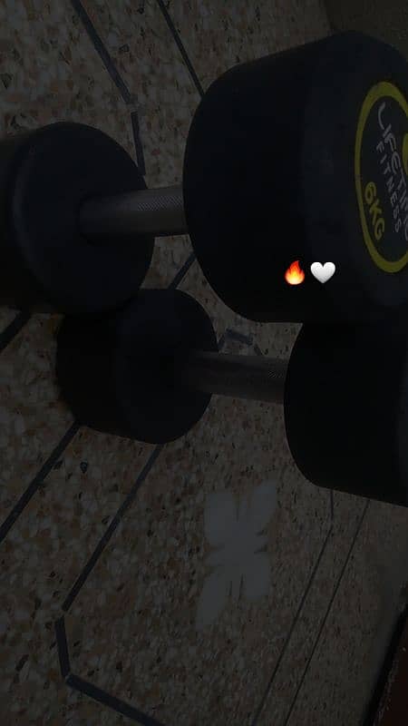 6KG Dumbells Pair 5