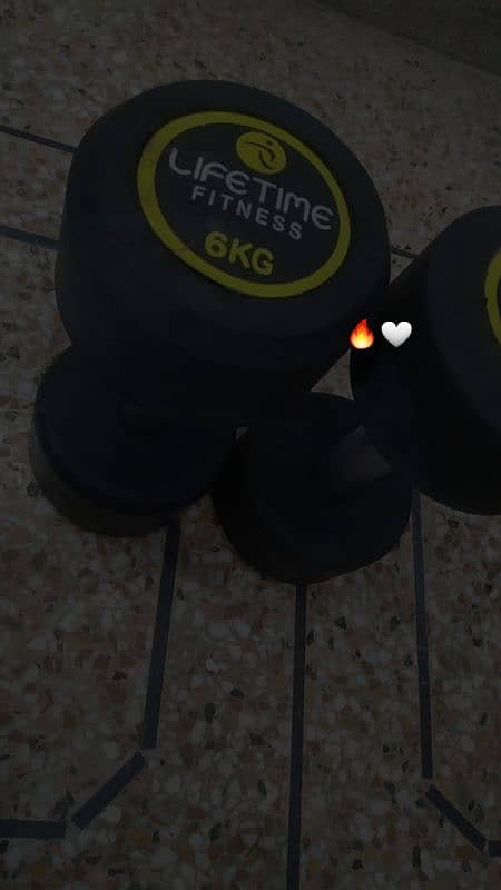 6KG Dumbells Pair 6