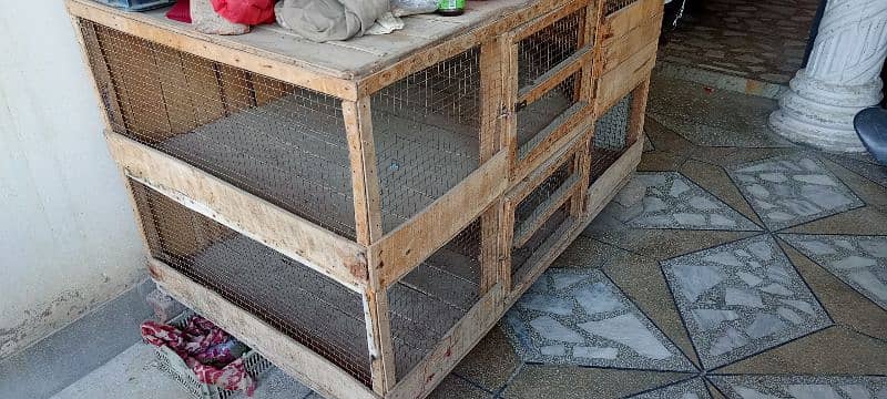 Hen cage 4