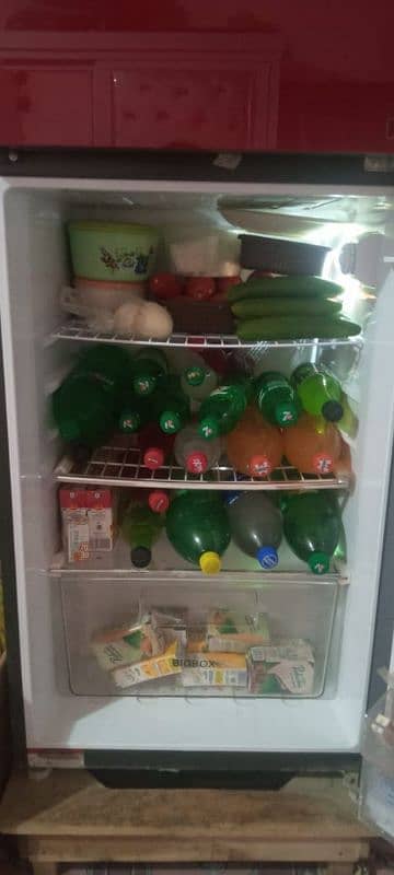 frige 1