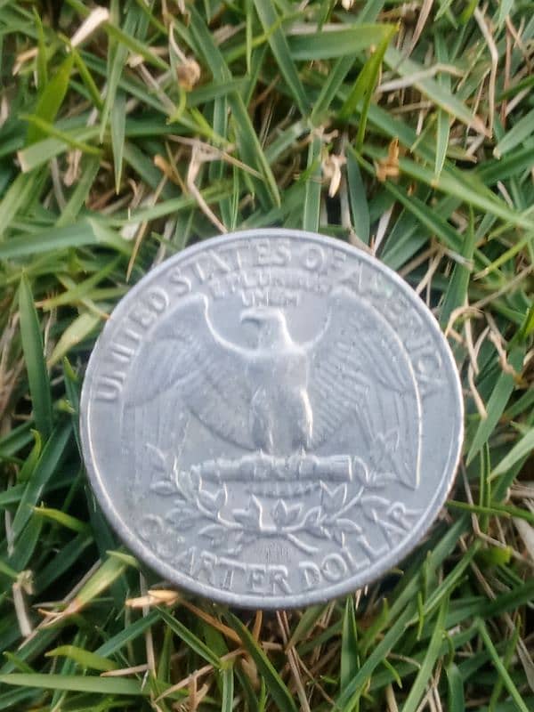 Rare Quarter Dollar coin 1982 for sell 1