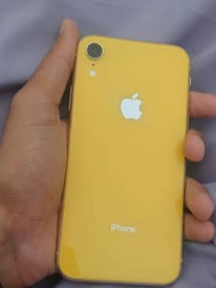 i phone xr. 10/10 condition   64 gb factory unlocked