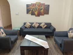 5 seater sofa center table & Console