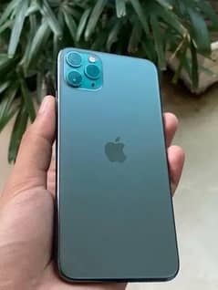 iphone 11 pro max PTA approved (89health)