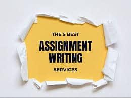 Assignment Writer 0