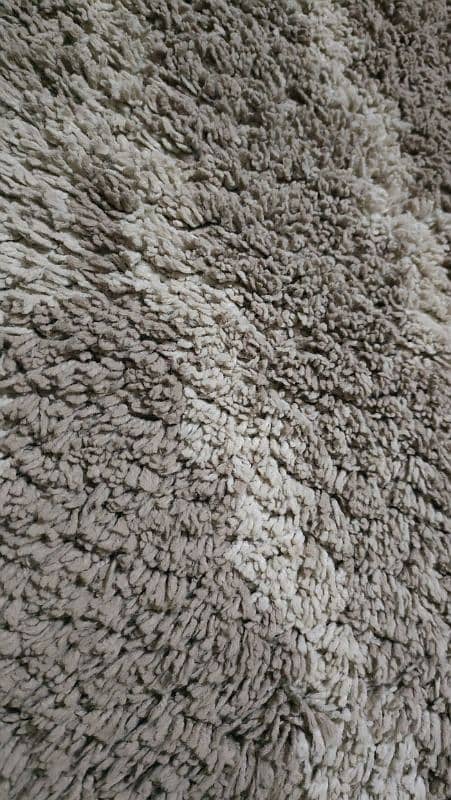 Carpet for sale in good condition 1