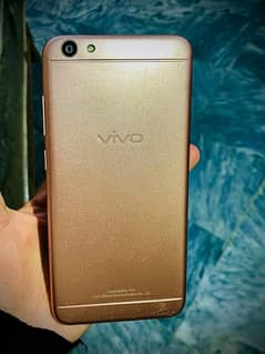 vivo