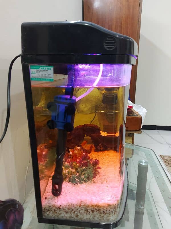 Imported Fish Aquarium 1.5 by 1.5 feet size 1