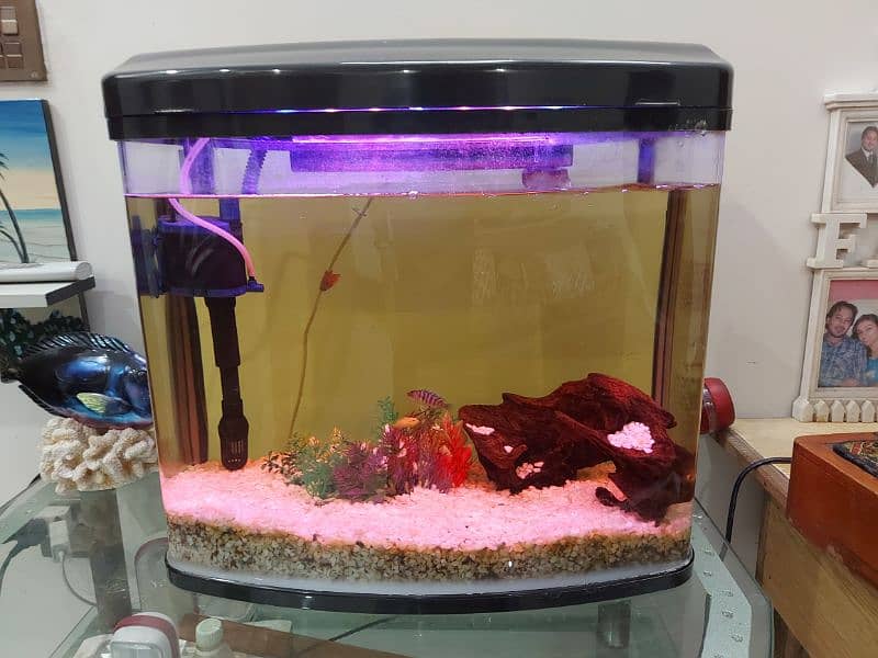 Imported Fish Aquarium 1.5 by 1.5 feet size 2