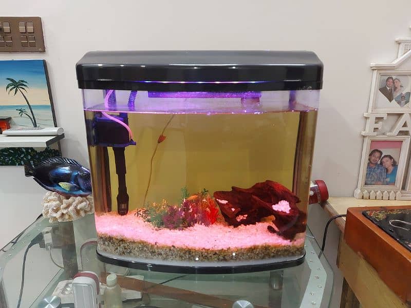 Imported Fish Aquarium 1.5 by 1.5 feet size 3