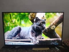 Noble 40 inches Smart Led for sale