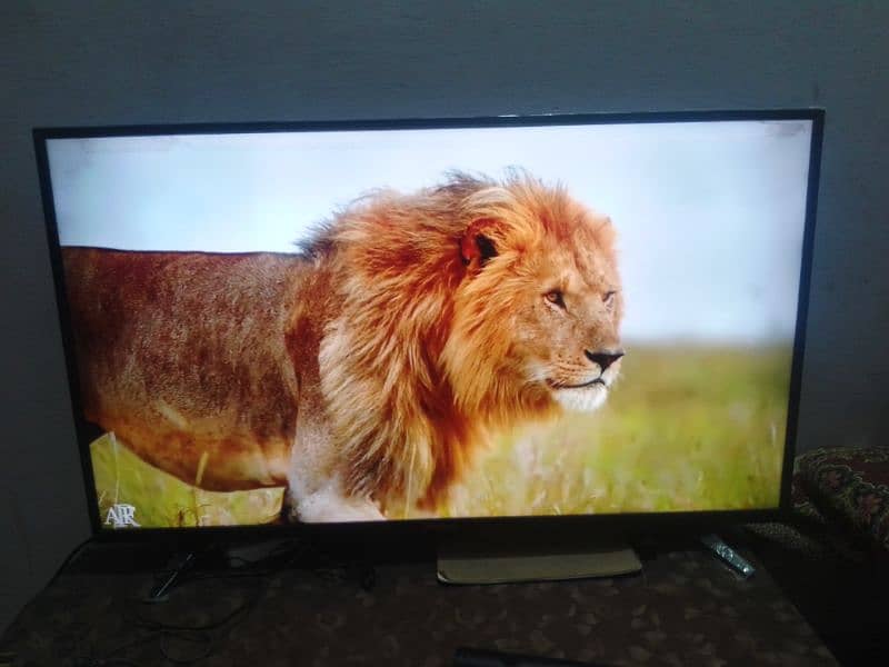 Noble 40 inches Smart Led for sale 4