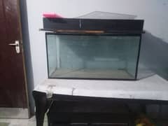 2 Big size aquarium for sale through away price