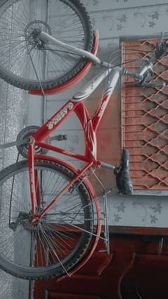 Bicycle