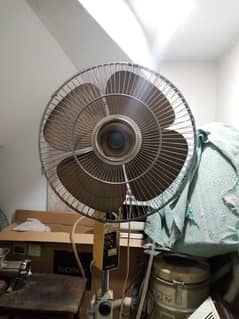 philips standing fan