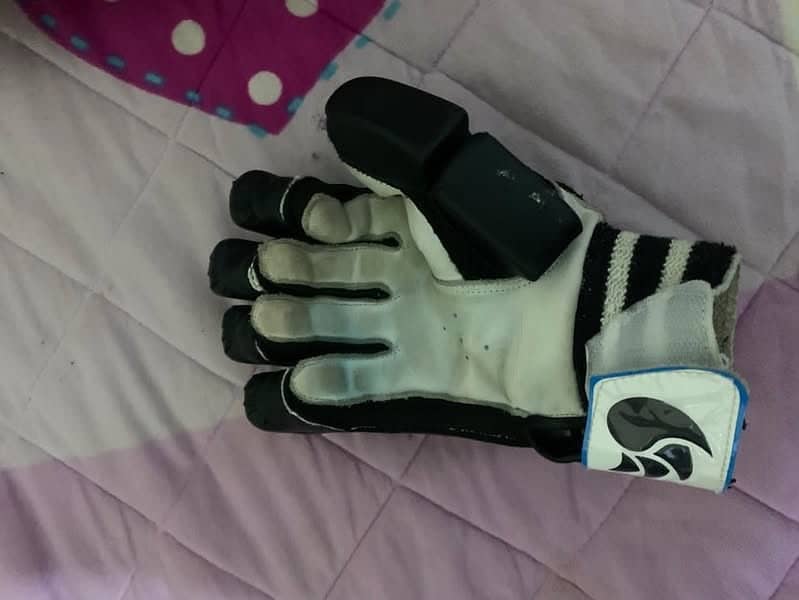 Cricket batting kit for right hand. 9