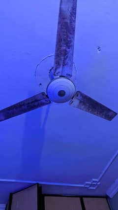 Fan For Sale