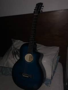 Premium acoustic guitar