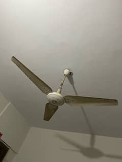 Pak Fans 7 Ceiling fans for sale