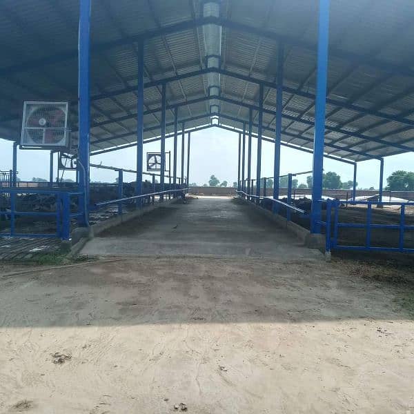 Fiber shed/Dairy shed/Marquee shed 7