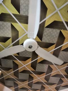 ceiling fan