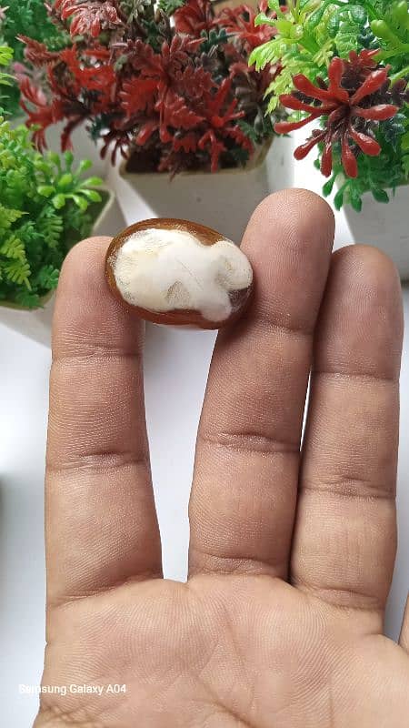 beautiful natural Indonesia agate 0