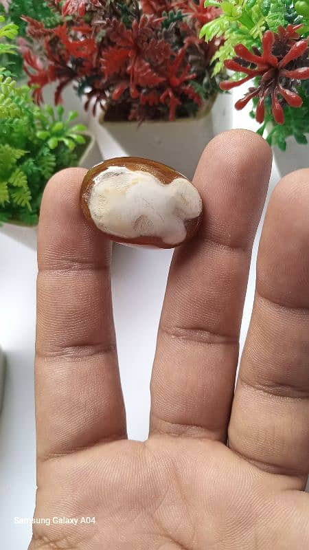 beautiful natural Indonesia agate 1