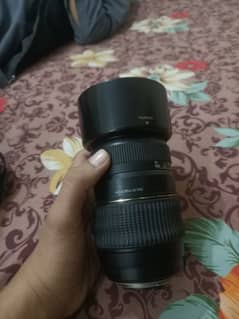 Tamron 70-300mm Lens