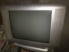 Singer TV 29 Inches