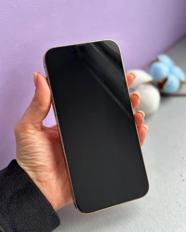 Iphone 13 Pro Max 256GB Non Pta Box Open 1