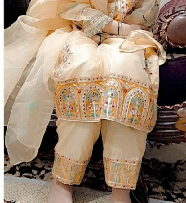 10/10 condition Duppata Embroidery Shalwar Embroidery Shirt Embroidery 2