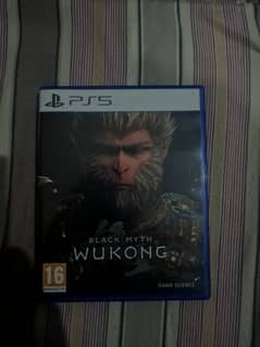 Black myth wukong