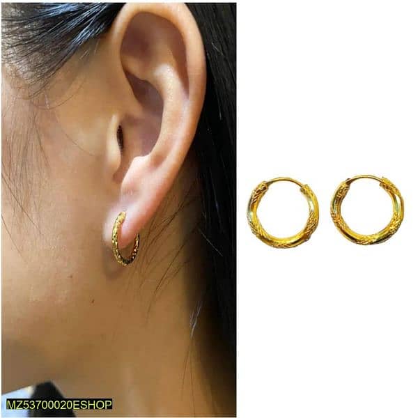 Gold _ plated Earrings 0