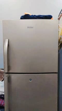 haier refrigerator