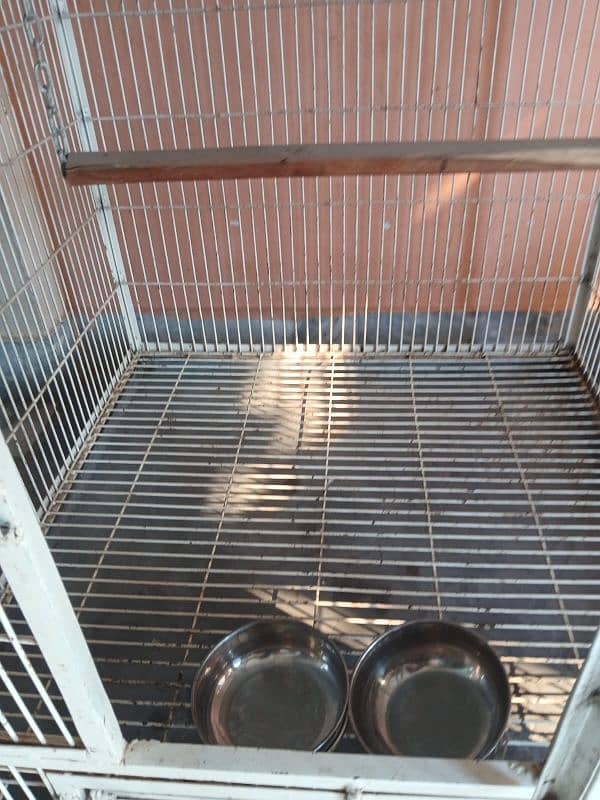 African Grey Parrot Cage 2