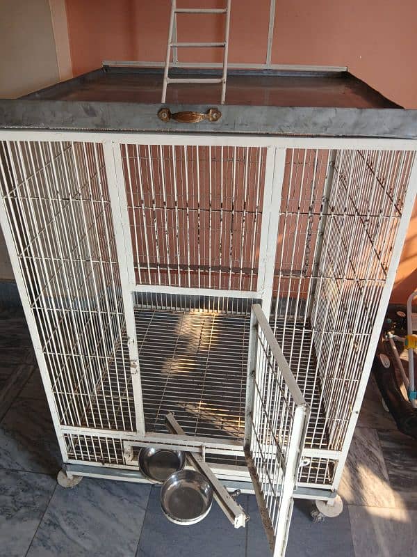 African Grey Parrot Cage 3