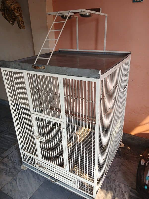 African Grey Parrot Cage 4