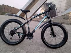 Roal Rider fate bicycle for sale