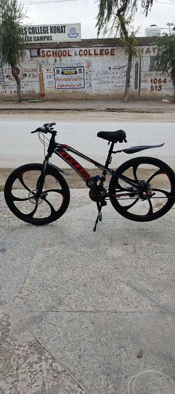 best bears cycle,new shocks, new brakes,brand new condition 10