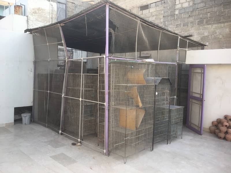 complete birds setup sale (cages , bertan, boxes, handia, Master cage) 0