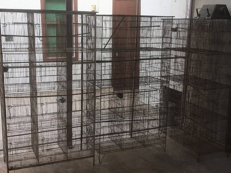 complete birds setup sale (cages , bertan, boxes, handia, Master cage) 3