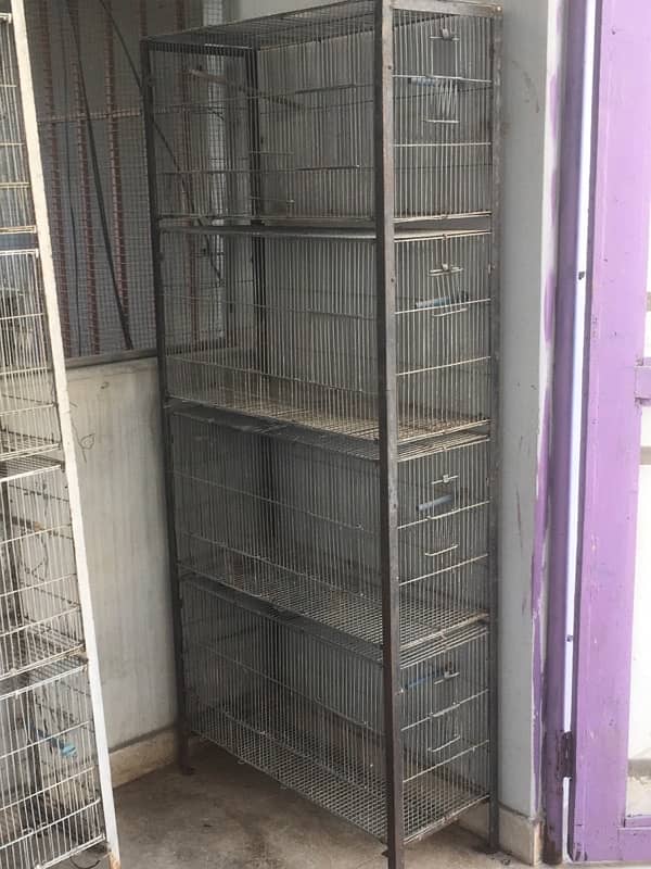 complete birds setup sale (cages , bertan, boxes, handia, Master cage) 4