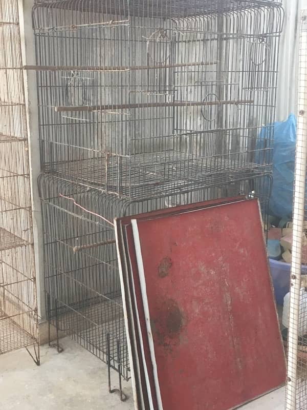 complete birds setup sale (cages , bertan, boxes, handia, Master cage) 5