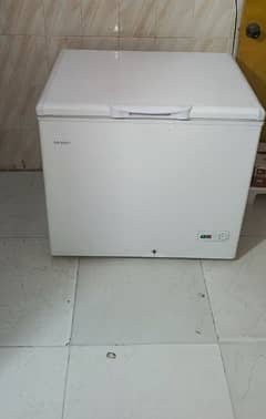 Haier D freezer single door