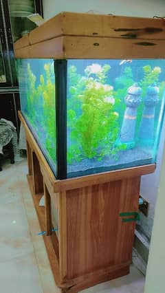 beautiful aquarium with live plants complete